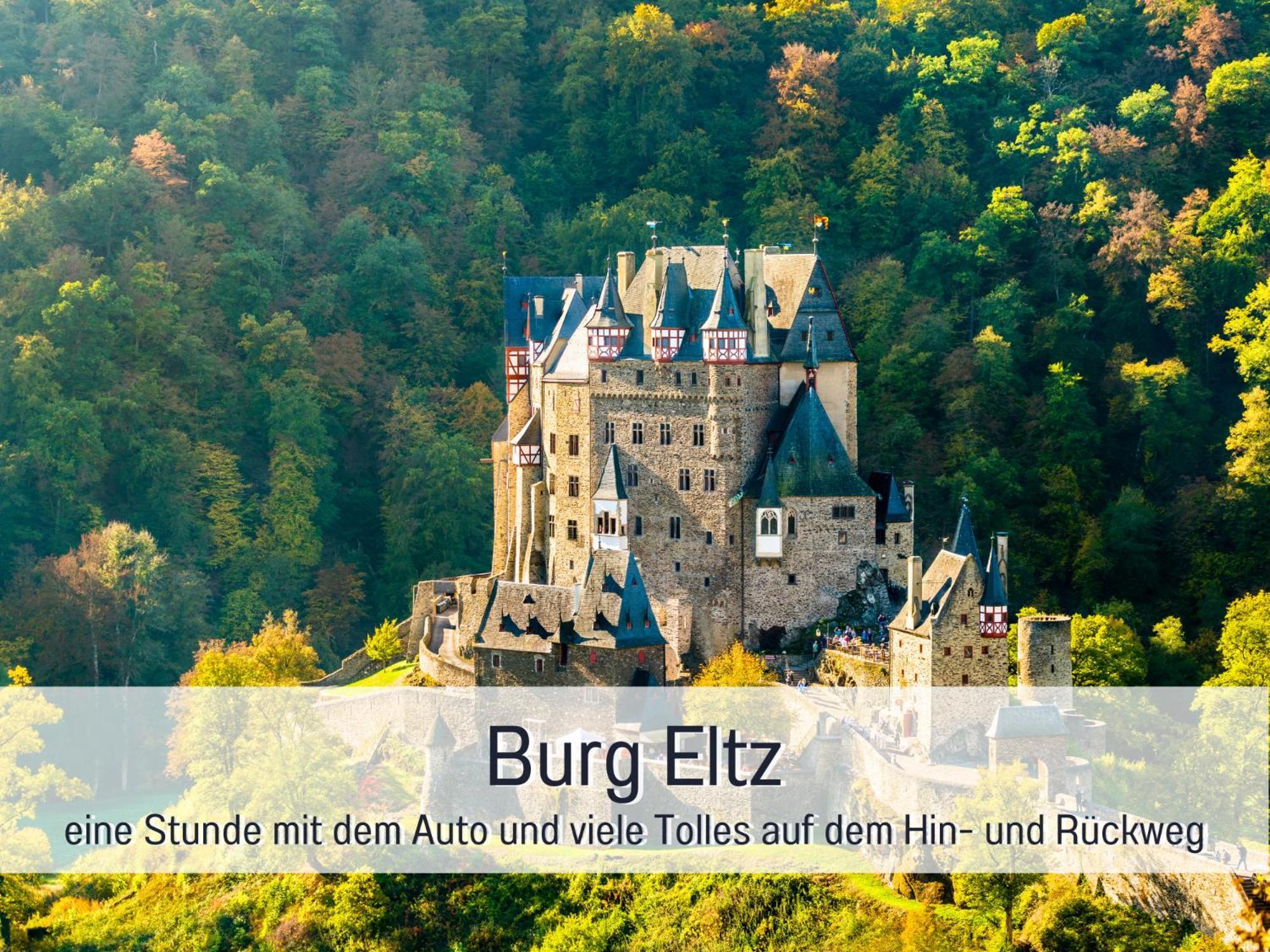 Ferienhaus Schwaab-Scherr, Genau Zwischen Bernkastel-Kues Und Traben-Trarbach, Mit Kostenlosem Oepnv-Ticket Fuer Bus Und Bahn, Parkplaetzen Und Fahrradgarage Erden المظهر الخارجي الصورة