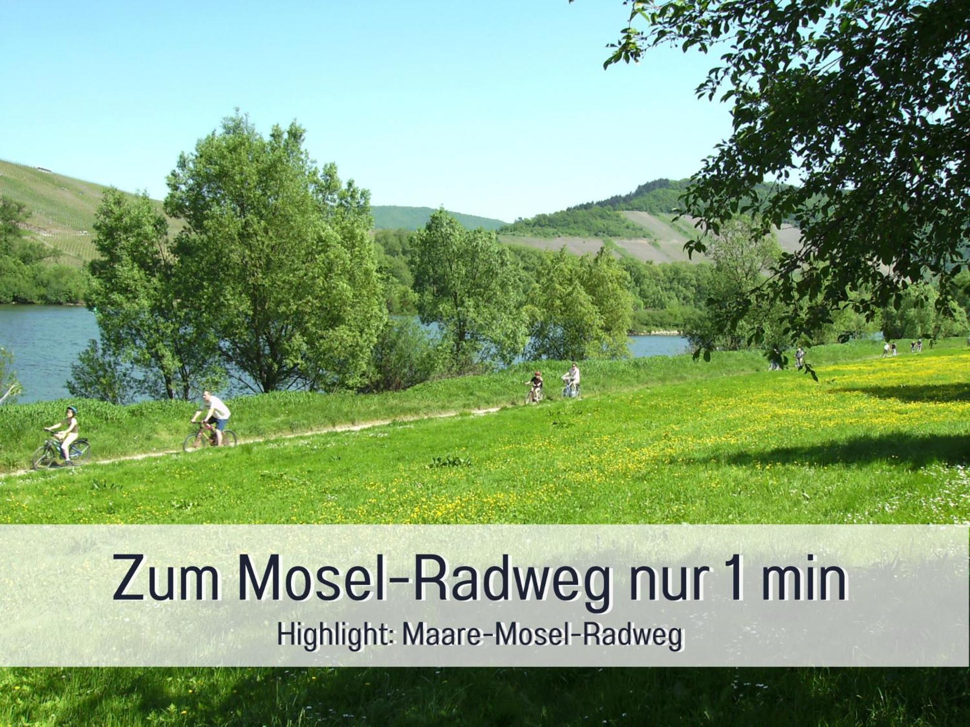 Ferienhaus Schwaab-Scherr, Genau Zwischen Bernkastel-Kues Und Traben-Trarbach, Mit Kostenlosem Oepnv-Ticket Fuer Bus Und Bahn, Parkplaetzen Und Fahrradgarage Erden المظهر الخارجي الصورة
