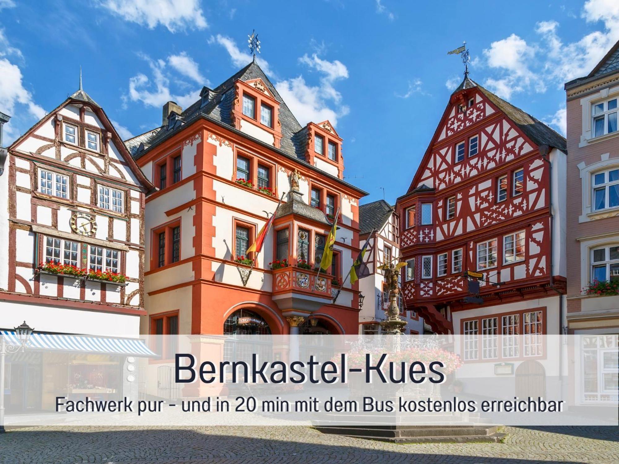 Ferienhaus Schwaab-Scherr, Genau Zwischen Bernkastel-Kues Und Traben-Trarbach, Mit Kostenlosem Oepnv-Ticket Fuer Bus Und Bahn, Parkplaetzen Und Fahrradgarage Erden المظهر الخارجي الصورة