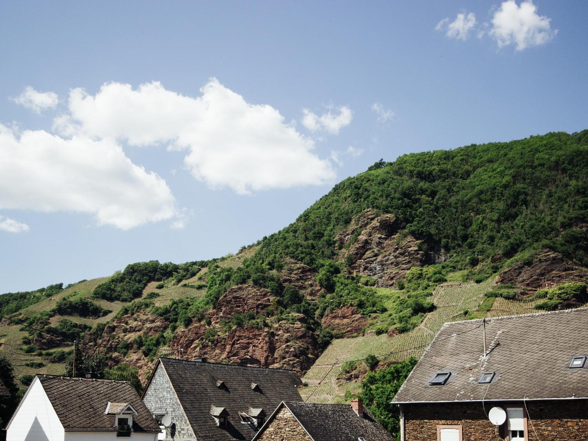 Ferienhaus Schwaab-Scherr, Genau Zwischen Bernkastel-Kues Und Traben-Trarbach, Mit Kostenlosem Oepnv-Ticket Fuer Bus Und Bahn, Parkplaetzen Und Fahrradgarage Erden المظهر الخارجي الصورة
